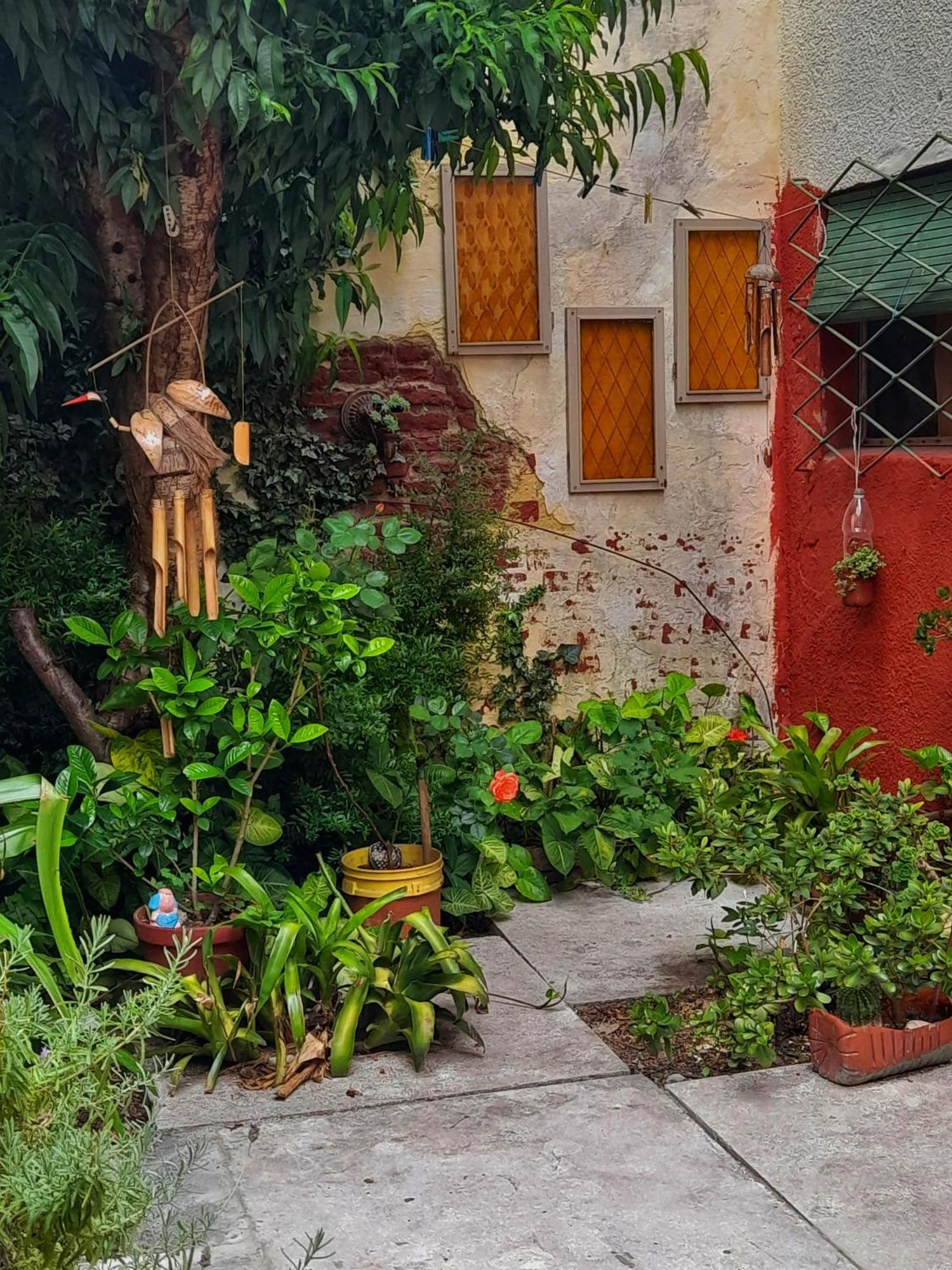 Casa Para Tus Vacaciones O Viaje De Negocios Montevideo Dış mekan fotoğraf